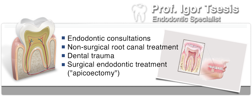Prof. Igor Tsesis - Endodontic Specialist. Endodontic consultations; Non-surgical root canal treatment; Dental trauma; Surgical endodontic treatment (apicoectomy).